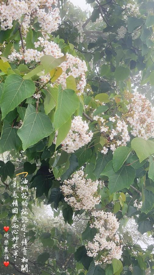 Hualing祈乐农庄公寓 外观 照片
